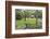 Carter Shields Cabin in Spring, Cades Cove Area, Great Smoky Mountains National Park, Tennessee-Richard and Susan Day-Framed Photographic Print