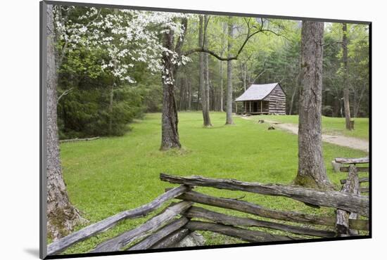 Carter Shields Cabin in Spring, Cades Cove Area, Great Smoky Mountains National Park, Tennessee-Richard and Susan Day-Mounted Photographic Print