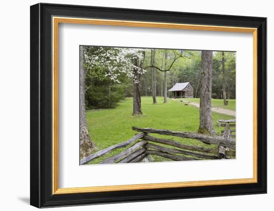 Carter Shields Cabin in Spring, Cades Cove Area, Great Smoky Mountains National Park, Tennessee-Richard and Susan Day-Framed Photographic Print