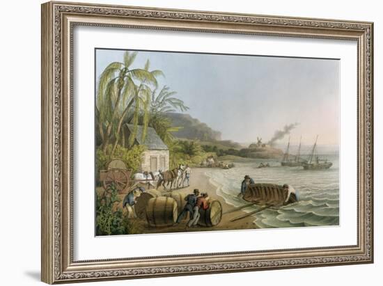 Carting and Putting Sugar Hogsheads on Board', Plate X from 'Ten Views in the Island of Antigua'-William Clark-Framed Giclee Print