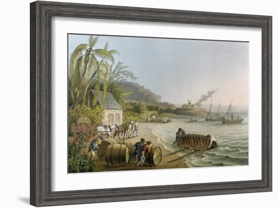 Carting and Putting Sugar Hogsheads on Board', Plate X from 'Ten Views in the Island of Antigua'-William Clark-Framed Giclee Print