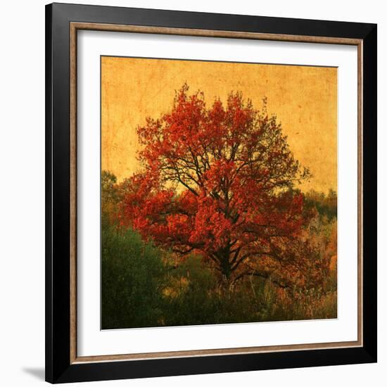 Carton Rouge-Philippe Sainte-Laudy-Framed Photographic Print