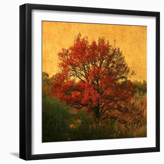 Carton Rouge-Philippe Sainte-Laudy-Framed Photographic Print