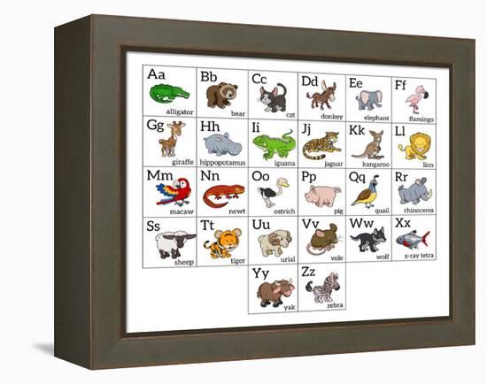 Cartoon Animal Alphabet Chart-Krisdog-Framed Stretched Canvas