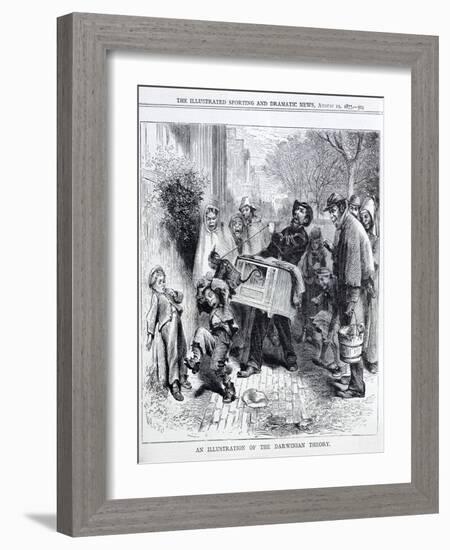 Cartoon of 1871 Mocking Darwin's Theory of Evolution-null-Framed Giclee Print