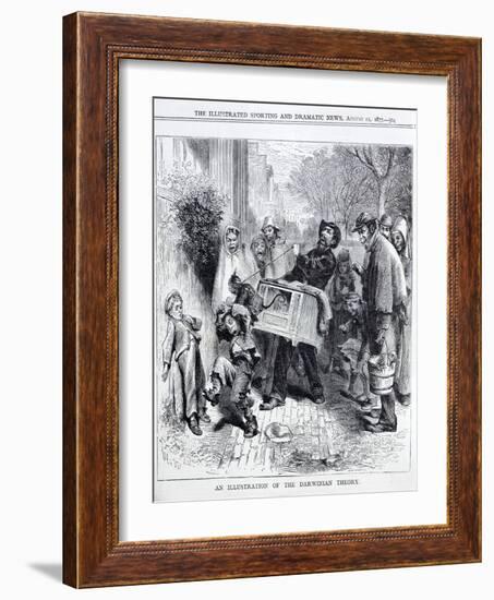 Cartoon of 1871 Mocking Darwin's Theory of Evolution-null-Framed Giclee Print