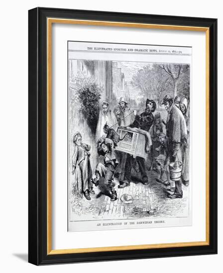 Cartoon of 1871 Mocking Darwin's Theory of Evolution-null-Framed Giclee Print