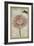 Cartouche & Floral II-Jennifer Goldberger-Framed Art Print