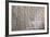 Cartouche of Alexander the Great, Wall Fragment of a Temple-null-Framed Giclee Print