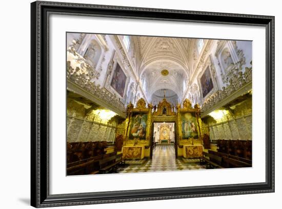 Cartuja Monastery, Granada, Andalucia, Spain-Carlo Morucchio-Framed Photographic Print