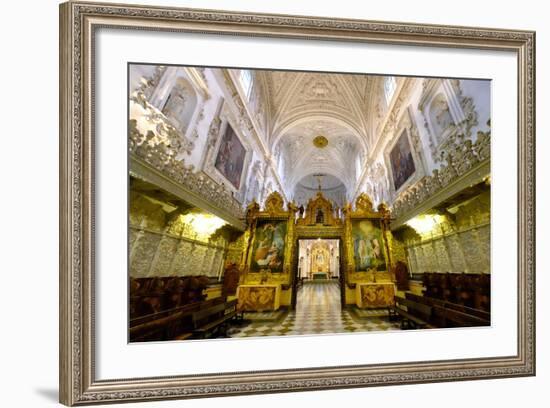 Cartuja Monastery, Granada, Andalucia, Spain-Carlo Morucchio-Framed Photographic Print