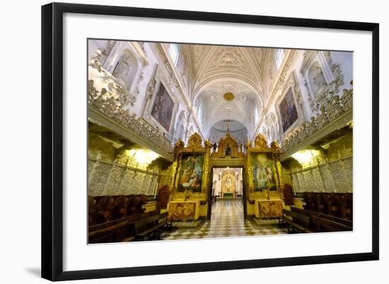 Cartuja Monastery, Granada, Andalucia, Spain-Carlo Morucchio-Framed Photographic Print