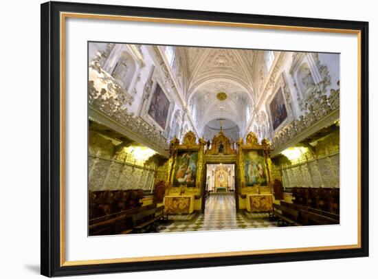 Cartuja Monastery, Granada, Andalucia, Spain-Carlo Morucchio-Framed Photographic Print