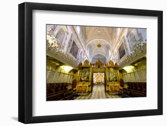 Cartuja Monastery, Granada, Andalucia, Spain-Carlo Morucchio-Framed Photographic Print