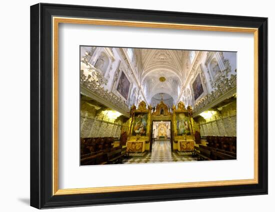 Cartuja Monastery, Granada, Andalucia, Spain-Carlo Morucchio-Framed Photographic Print