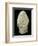 Carved Celtic Head, 1st century-Unknown-Framed Giclee Print