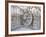 Carved Chariot Wheel on Wall of Konarak Sun Temple, UNESCO World Heritage Site, Konarak, India-Annie Owen-Framed Photographic Print