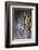 Carved Detail on the Stone Tomb of Alasdair Crotach-Lee Frost-Framed Photographic Print