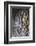 Carved Detail on the Stone Tomb of Alasdair Crotach-Lee Frost-Framed Photographic Print