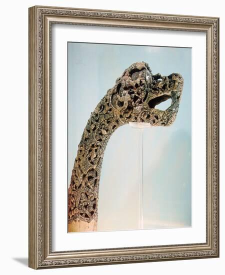 Carved dragon-head post from the ship burial at Oseberg, 850 AD-Werner Forman-Framed Giclee Print