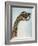 Carved dragon-head post from the ship burial at Oseberg, 850 AD-Werner Forman-Framed Giclee Print