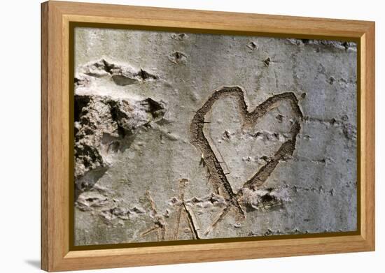 Carved Heart in Bark of a Tree-Brigitte Protzel-Framed Premier Image Canvas