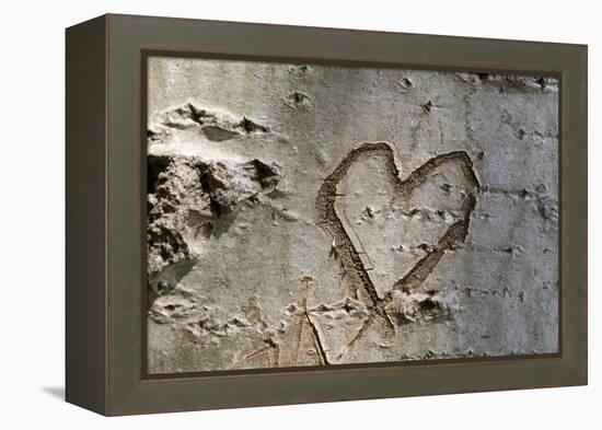 Carved Heart in Bark of a Tree-Brigitte Protzel-Framed Premier Image Canvas