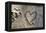 Carved Heart in Bark of a Tree-Brigitte Protzel-Framed Premier Image Canvas