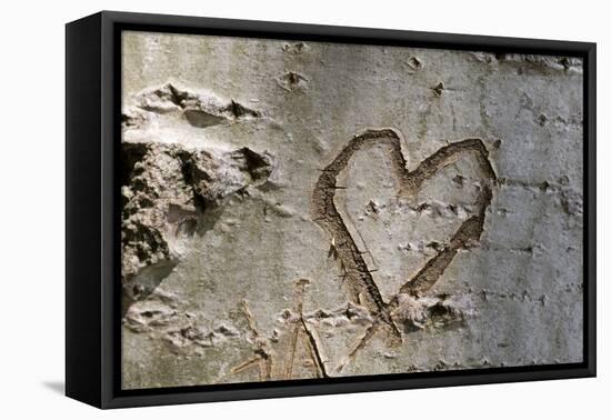 Carved Heart in Bark of a Tree-Brigitte Protzel-Framed Premier Image Canvas