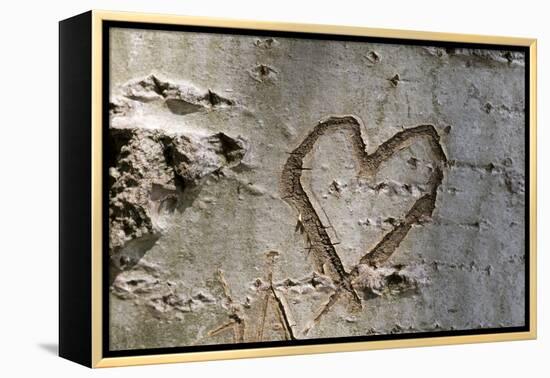 Carved Heart in Bark of a Tree-Brigitte Protzel-Framed Premier Image Canvas