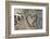 Carved Heart in Bark of a Tree-Brigitte Protzel-Framed Photographic Print