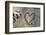 Carved Heart in Bark of a Tree-Brigitte Protzel-Framed Photographic Print