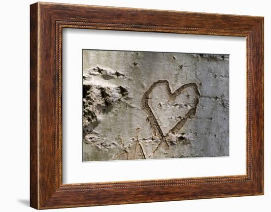 Carved Heart in Bark of a Tree-Brigitte Protzel-Framed Photographic Print
