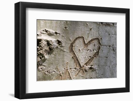 Carved Heart in Bark of a Tree-Brigitte Protzel-Framed Photographic Print
