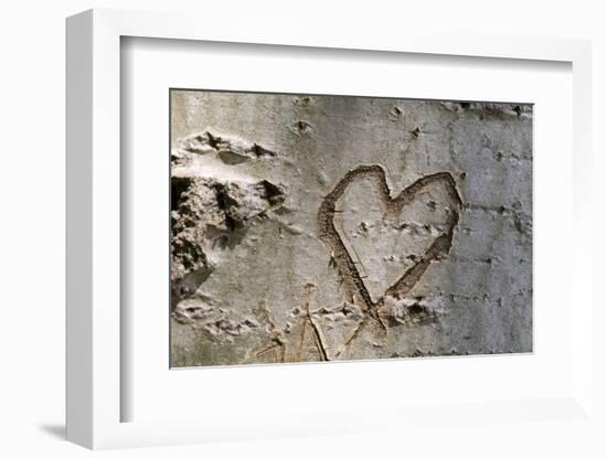 Carved Heart in Bark of a Tree-Brigitte Protzel-Framed Photographic Print