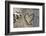 Carved Heart in Bark of a Tree-Brigitte Protzel-Framed Photographic Print