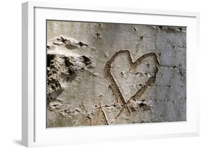Carved Heart in Bark of a Tree' Photographic Print - Brigitte Protzel |  Art.com