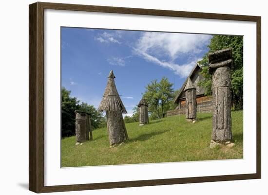 Carved Hives-null-Framed Photographic Print