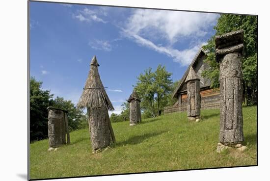 Carved Hives-null-Mounted Photographic Print