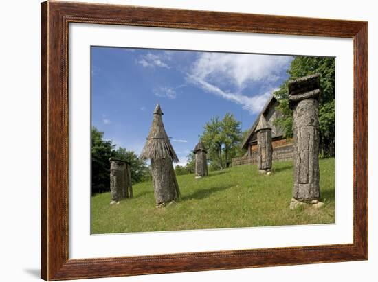 Carved Hives-null-Framed Photographic Print