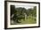 Carved Hives-null-Framed Photographic Print