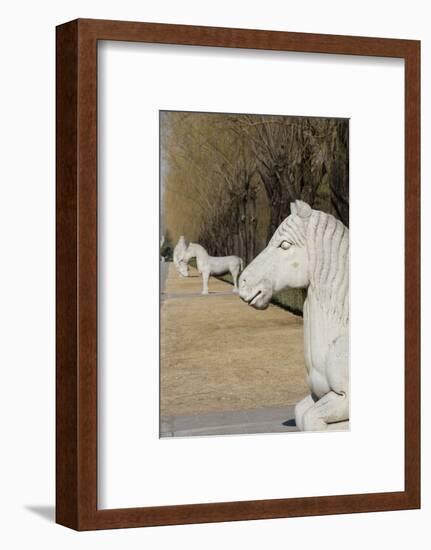 Carved Horse Statues, Changling Sacred Was, Beijing, China-Cindy Miller Hopkins-Framed Photographic Print