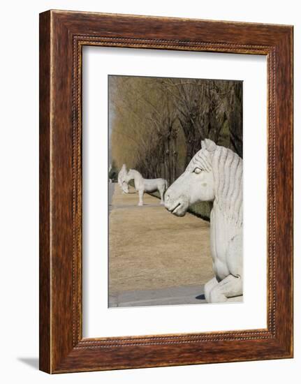 Carved Horse Statues, Changling Sacred Was, Beijing, China-Cindy Miller Hopkins-Framed Photographic Print