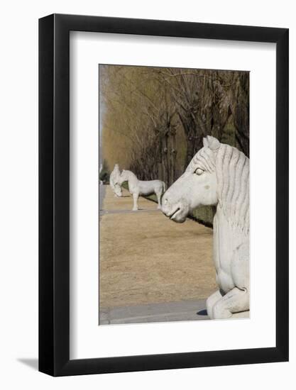 Carved Horse Statues, Changling Sacred Was, Beijing, China-Cindy Miller Hopkins-Framed Photographic Print