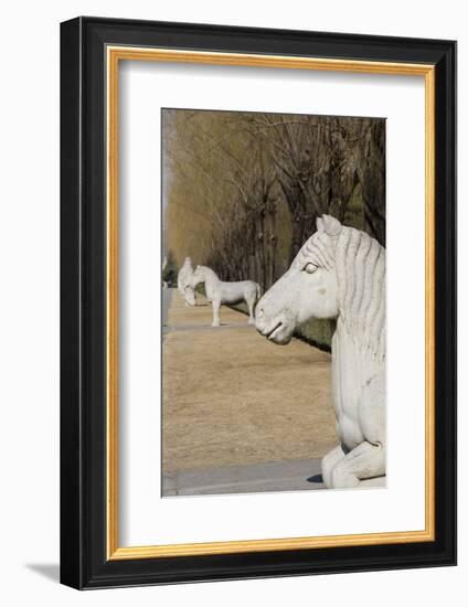 Carved Horse Statues, Changling Sacred Was, Beijing, China-Cindy Miller Hopkins-Framed Photographic Print