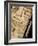 Carved Inca Statue on the Coast of Lake Titicaca from Copacabana in Bolivia, South America-Simon Montgomery-Framed Photographic Print