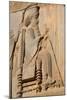 Carved relief of Darius the Great, builder of Persepolis, UNESCO World Heritage Site, Iran, Middle -James Strachan-Mounted Photographic Print