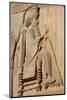 Carved relief of Darius the Great, builder of Persepolis, UNESCO World Heritage Site, Iran, Middle -James Strachan-Mounted Photographic Print