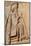 Carved relief of Darius the Great, builder of Persepolis, UNESCO World Heritage Site, Iran, Middle -James Strachan-Mounted Photographic Print