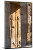 Carved relief of Royal Persian Guards, Persepolis, UNESCO World Heritage Site, Iran, Middle East-James Strachan-Mounted Photographic Print